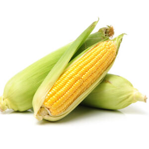 Maize
