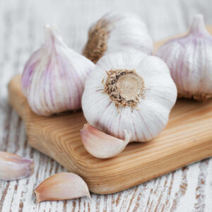 Garlic