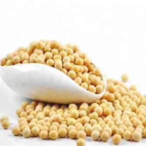 Soya Beans